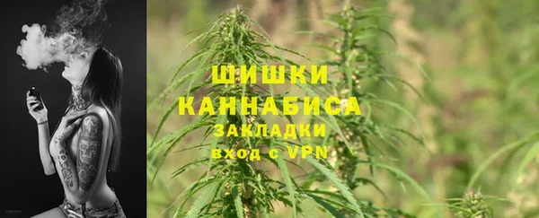 молекула духа Горняк