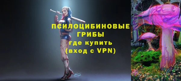 молекула духа Горняк