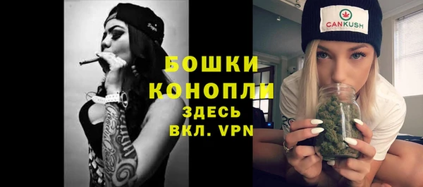 молекула духа Горняк