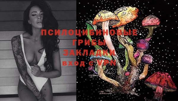 Альфа ПВП Горнозаводск