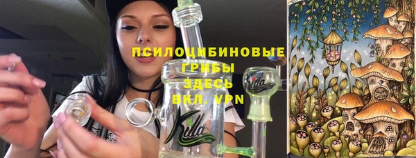 Альфа ПВП Горнозаводск