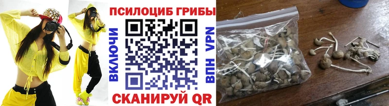 маркетплейс какой сайт  Вологда  Галлюциногенные грибы Magic Shrooms 